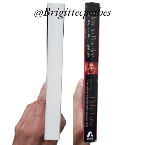 DALAI LAMA How To Practice The Way to a Meaningful  Life - Paperback - Picture 6 of 8